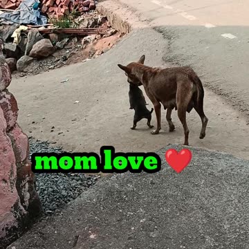 Mom love 💕💕💕💕 _ I love you mom
