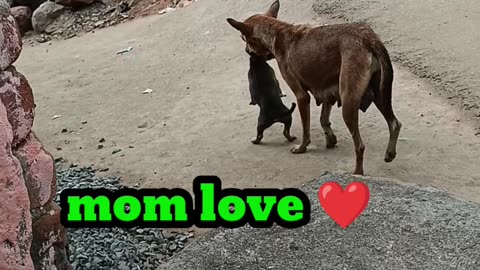 Mom love 💕💕💕💕 _ I love you mom