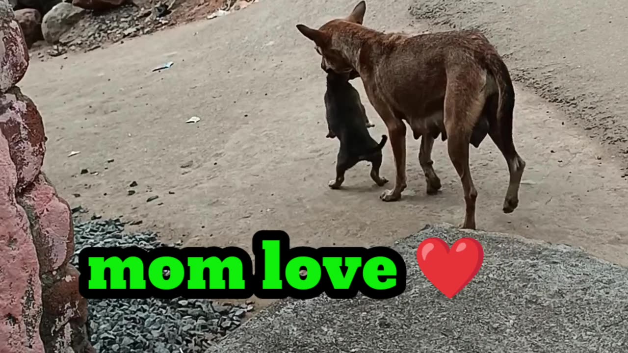 Mom love 💕💕💕💕 _ I love you mom