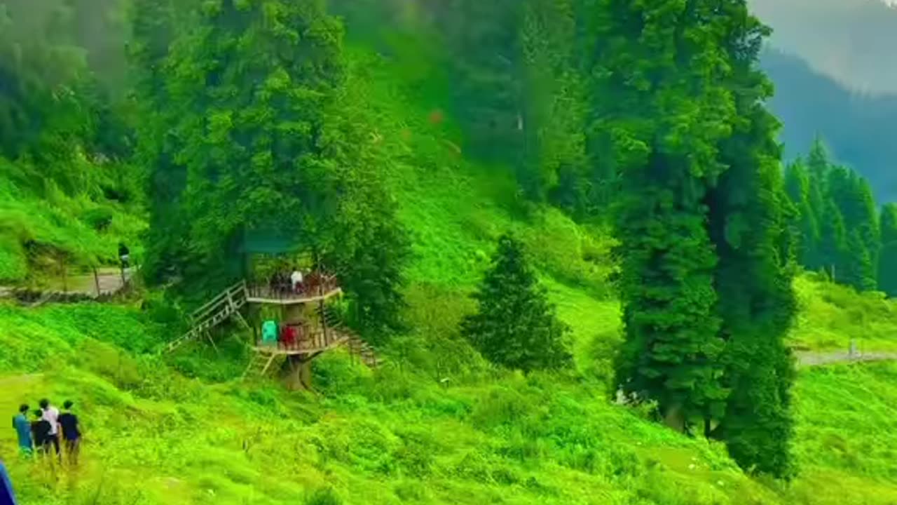 Beauty Pakistan swat