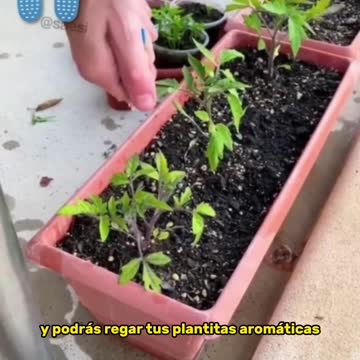 PLANTILLAS INVISIBLES👣😲