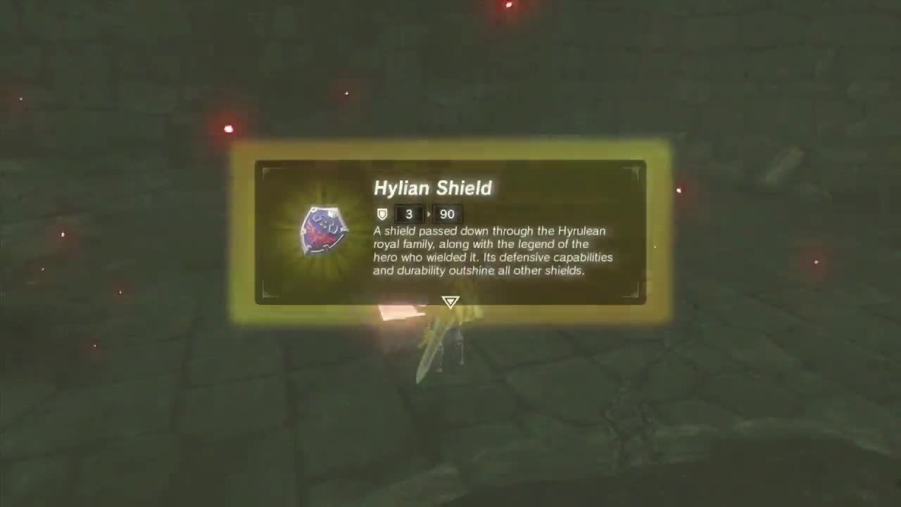 Zelda BOTW Items: Hylian Shield