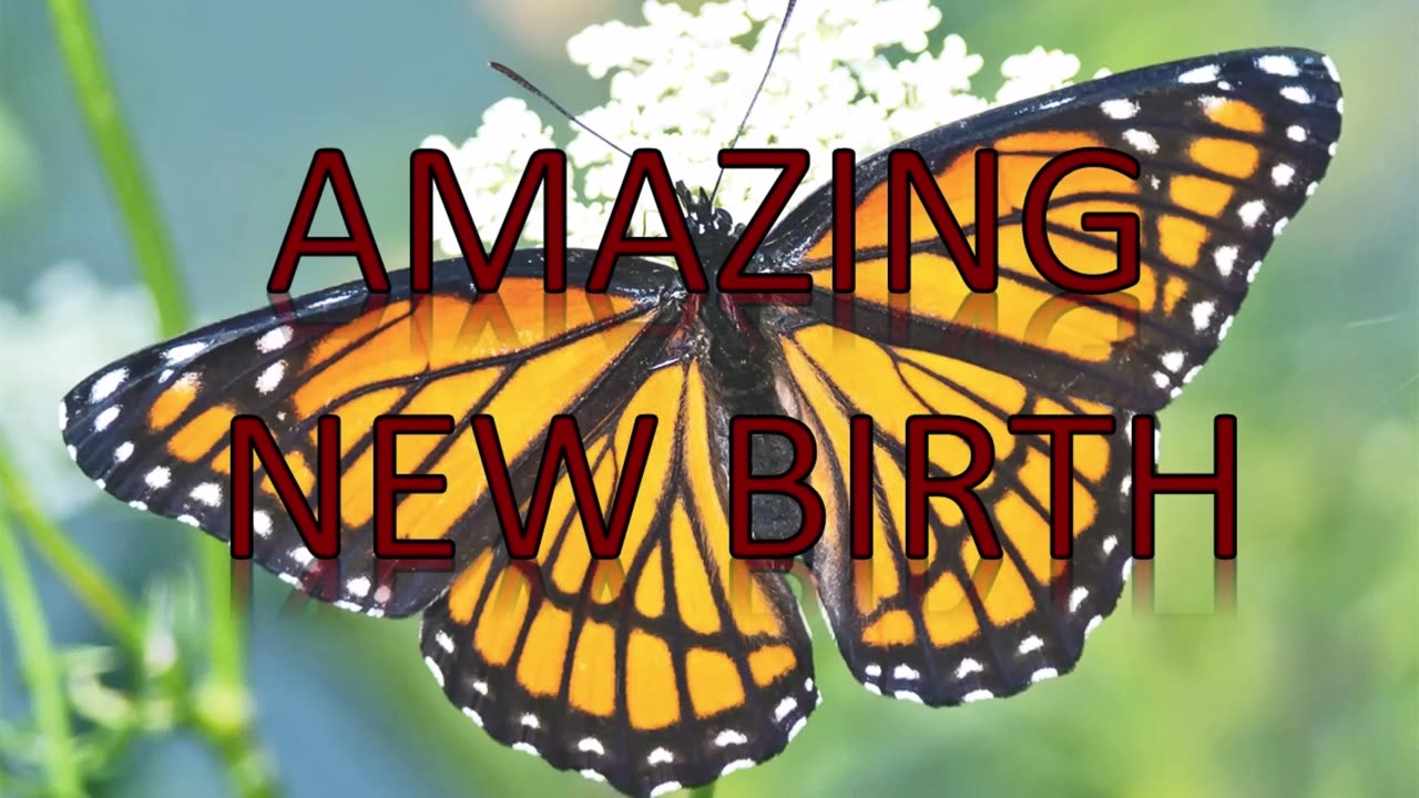Amazing New Birth (December 30, 2009)
