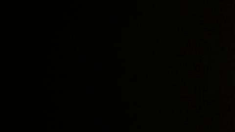 2022 midterm election