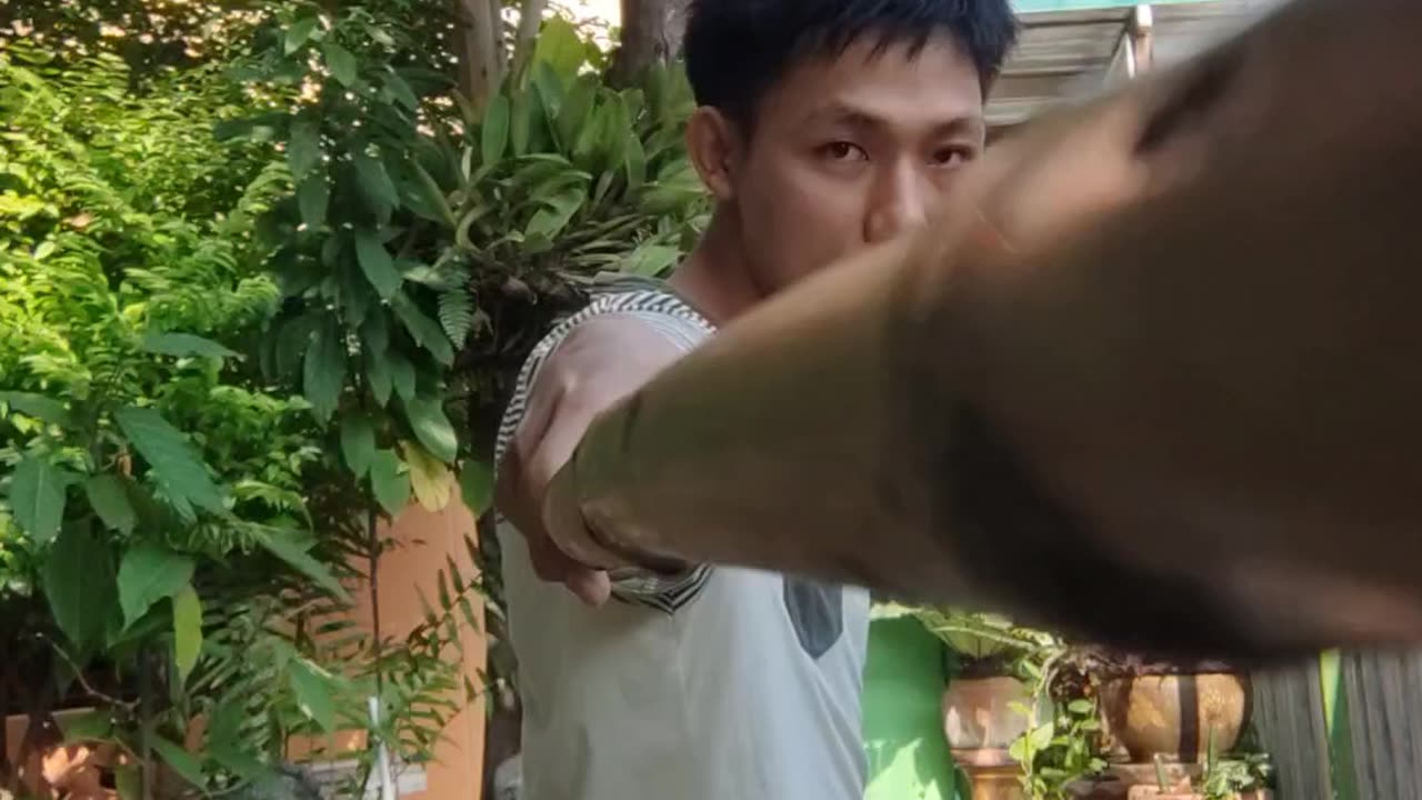 Kung Fu skills