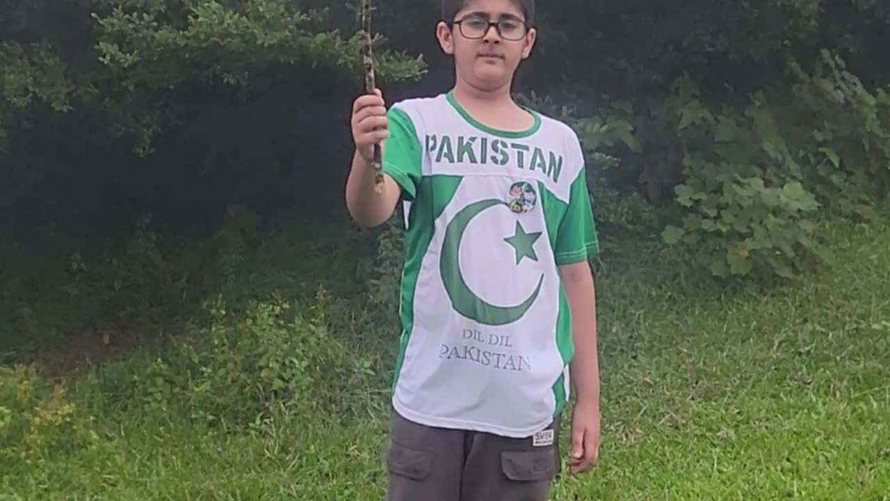 Dil Dil Pakistan