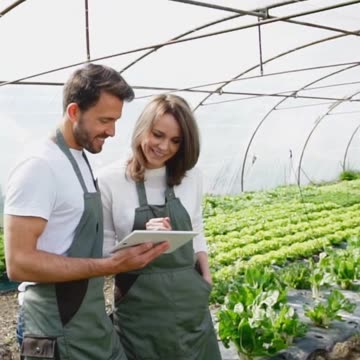 Discussing Plant Cultivation Methods With Master Gardener Scott Wilson