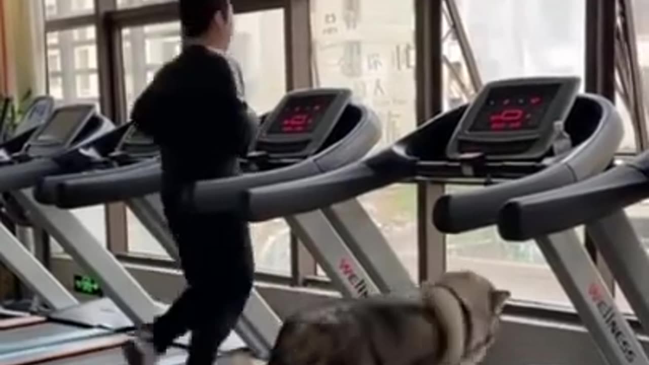 Running By Dog