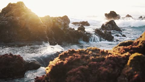 Nature view