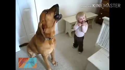 Cute baby Dog barking 😄😄😄😄😂😄😄