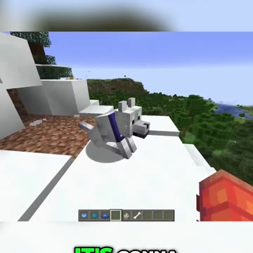 The Grove Wolf: A Stunning Addition to Minecraft's Biomes