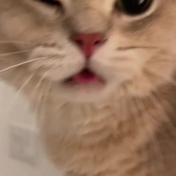 I know all of you pretty & handsome, but I don’t accept your kisses