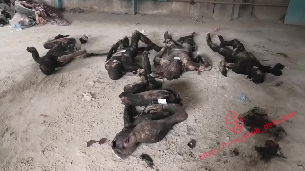 Ukraine War - Marines of the Armed Forces of Ukraine destroyed in Mariupol