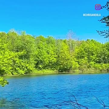 NATURE TO THE RESCUE!