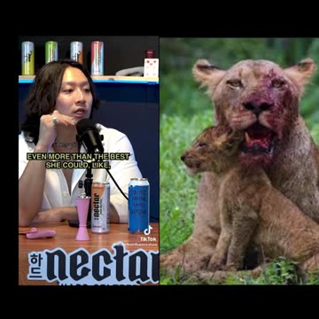 Life, Toxic Love, Relationships, Why We Suffered