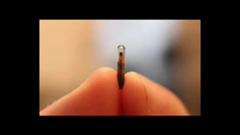 THE GENERATION OF THE CHIP 💉- THE END MY FRIEND