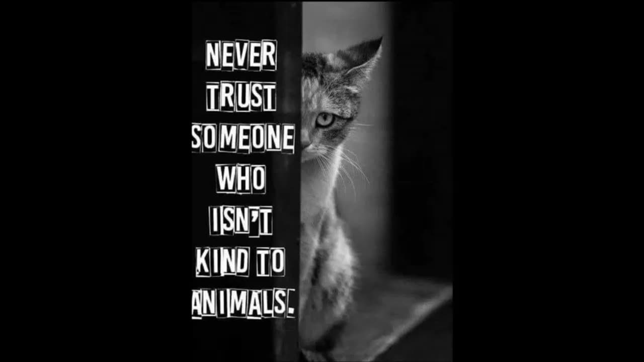 Never trust someone who isn't kind to animals