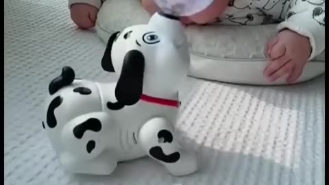 Cute baby playing with dog toy