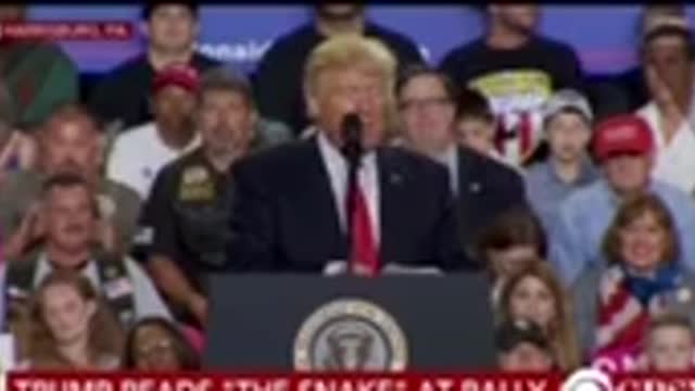 The Snake