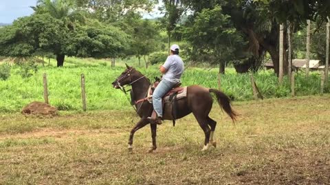 SOLTA FD - JANEIRO DE 2018 - PARTE 2