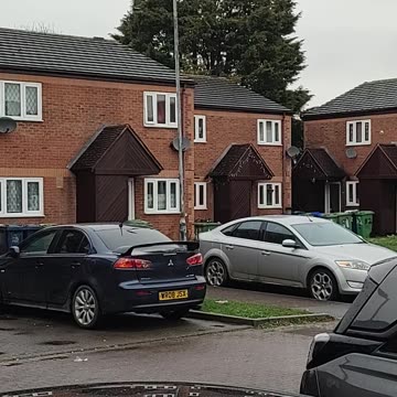 My crazy neighbourhood