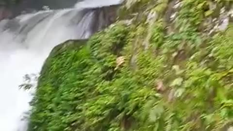 beauty of nature
