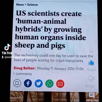 Wow crazy what is taking place!