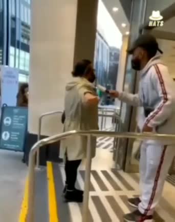 Shorts - Sheep - Guy Uses Lint Roller, They All Do It