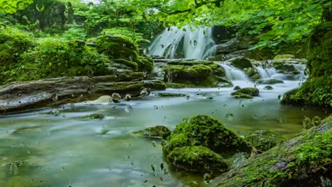 Relaxing Music | Sleeping, Meditation, Stress Relief | [6097] ⭐️