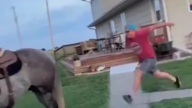 That kick dude 😂😵