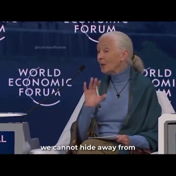 Less Meat and Less People | World Economic Forum | Thoughts on this???