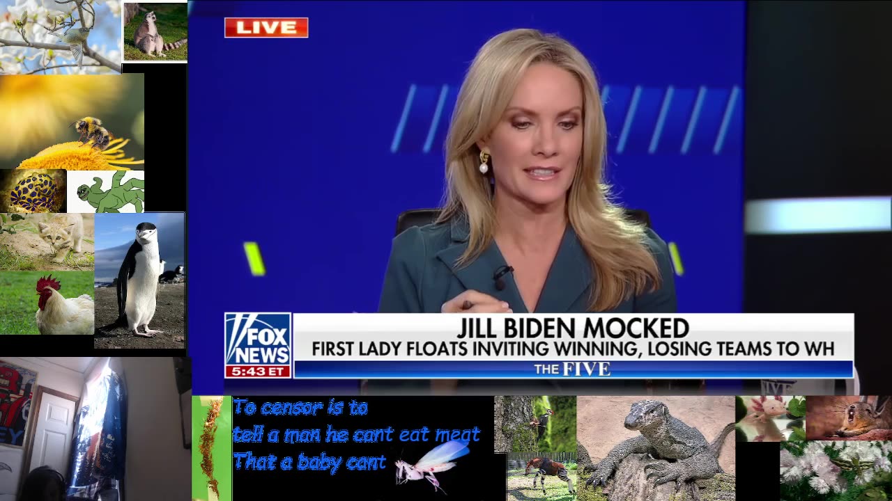 The Five 4/5/2023 Watchalong