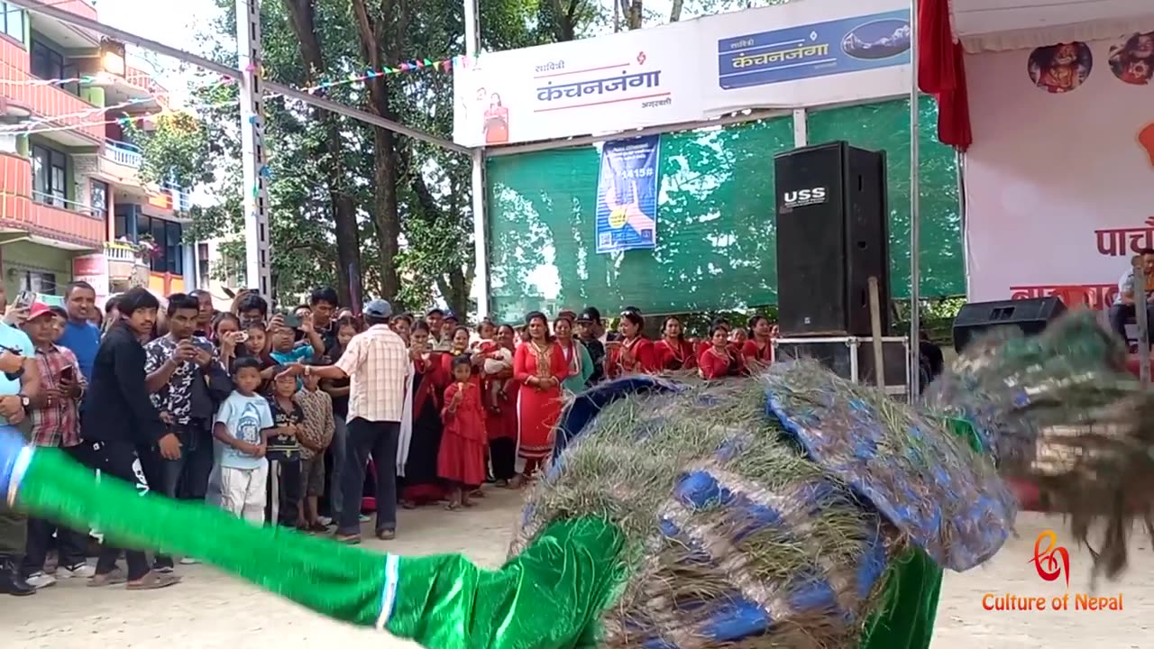 Mayur Nach