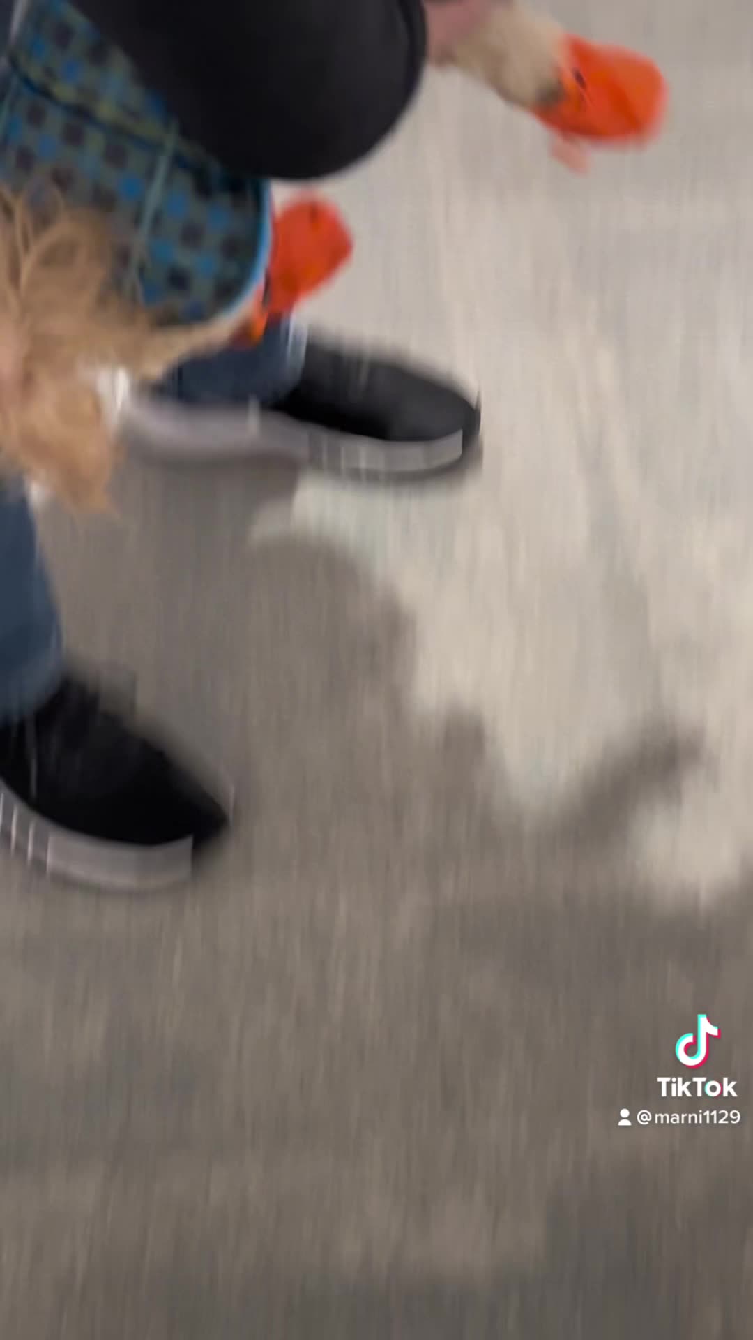 Cute dog