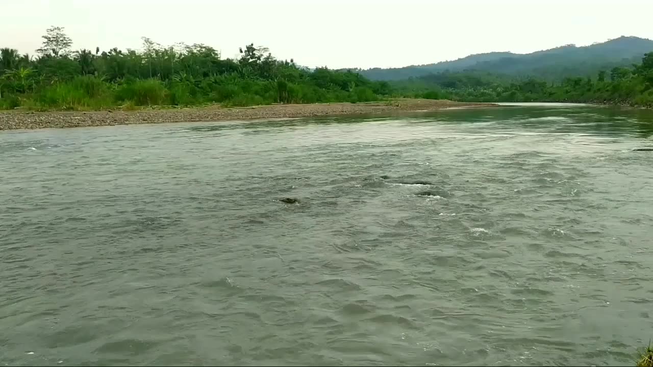 Solo camping overnight rainy ASMR relaxing nature sounds of river