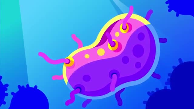 The Deadliest Being on Planet Earth – The Bacteriophage