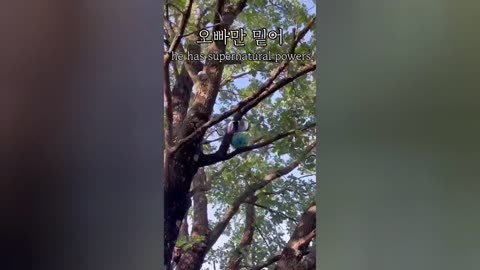Fail Compilation People Dying Inside #18