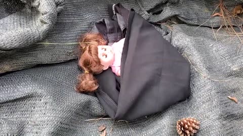 Baby monkey saves baby in the forest to take care of