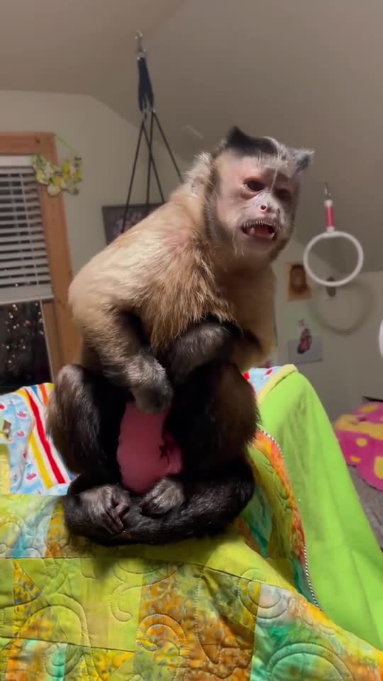 thank you to everyone who joined my live with my family and I tonight