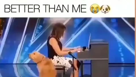 How can dog sing better than me, 😂😂