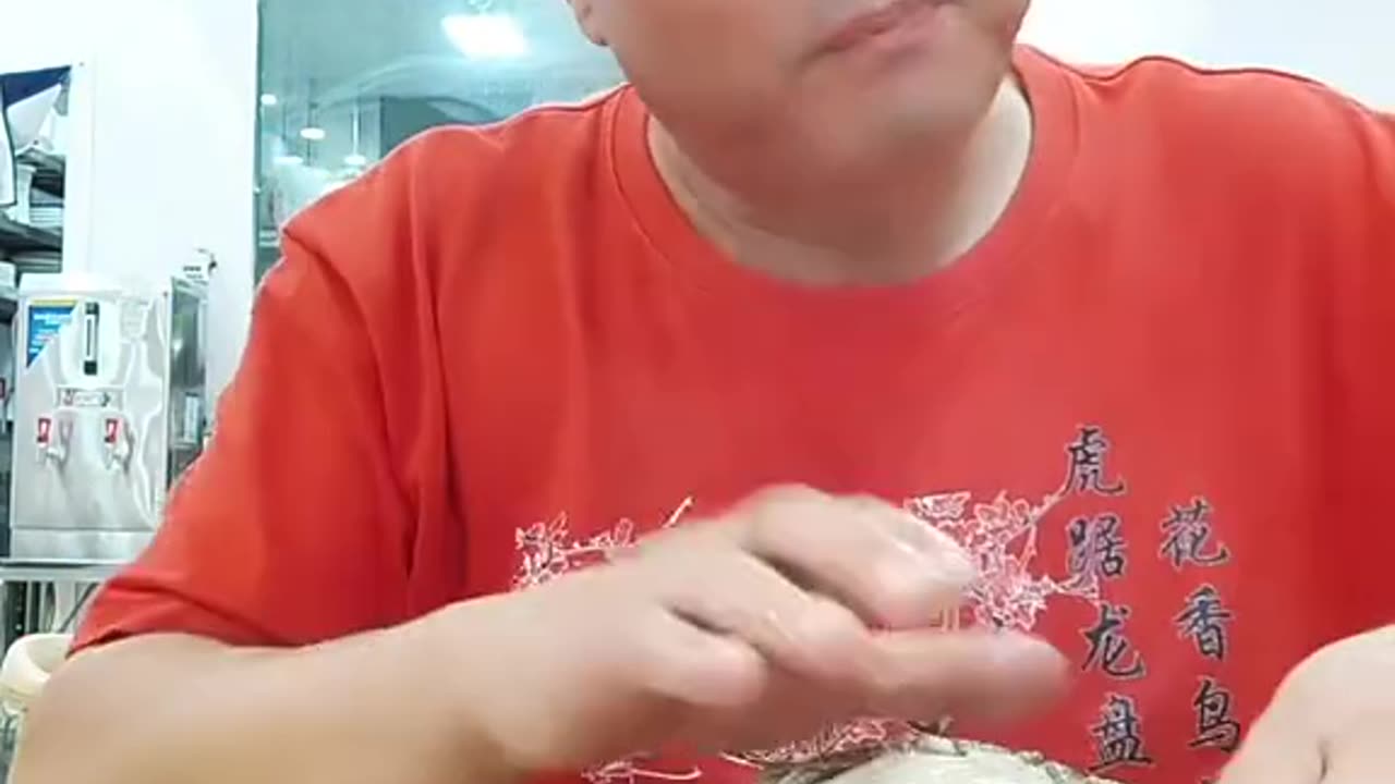 funny videos full funny people funny people full funny videos