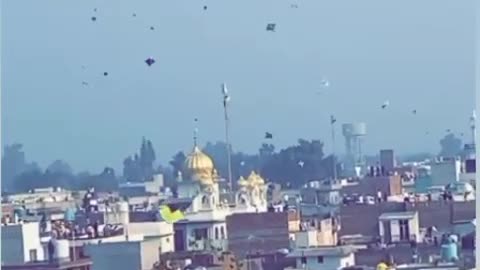 Village kite flying