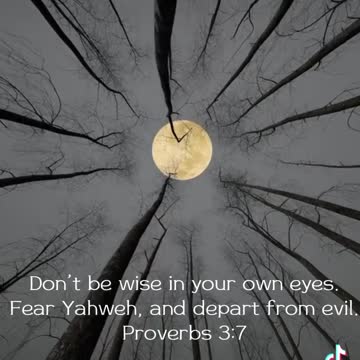 @dailybibledevotionals