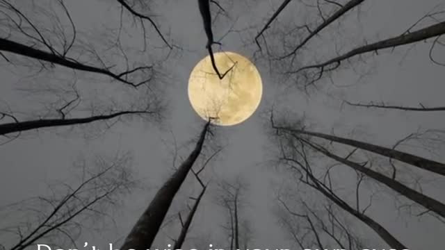 @dailybibledevotionals