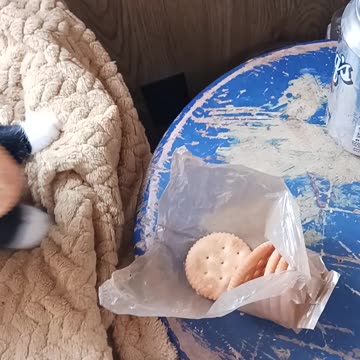 Blackjack stole my cracker