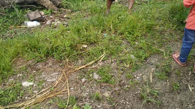 Wild fox mouth inside jar removed by villagers