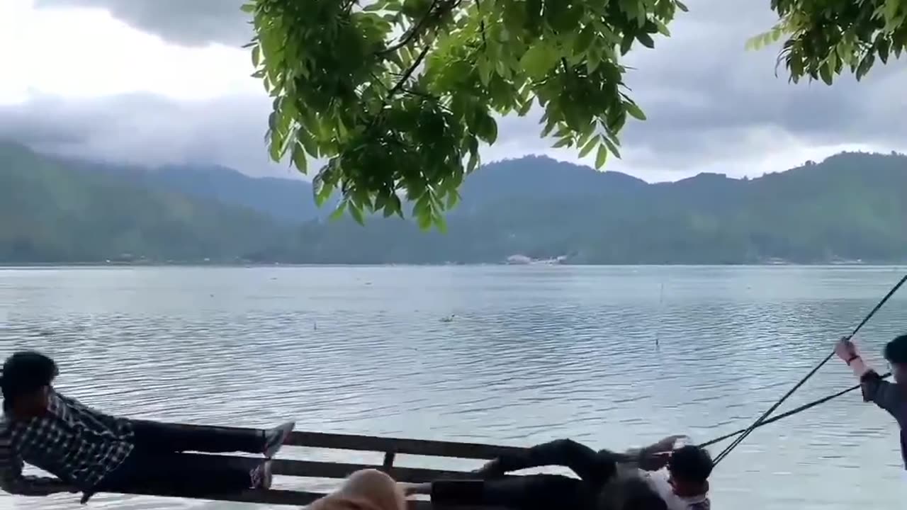 Funny videos