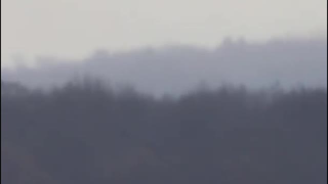 Airplane landings, Airbus and Boeing planes in dangerous situations #Shorts