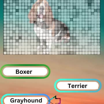 Bow-wow Trivia Challenge 2