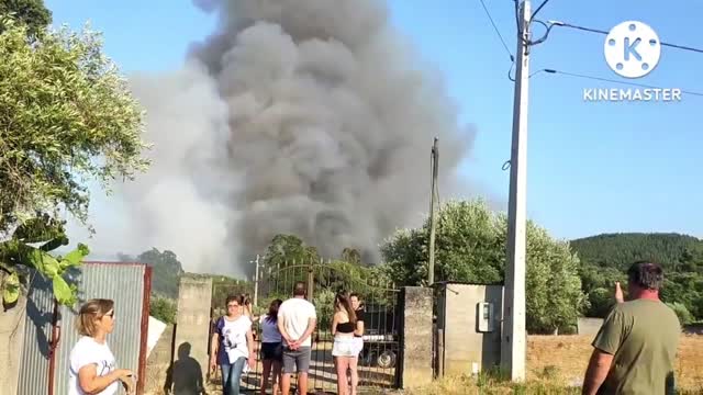 Portugal incêndio florestal | forest fire Portugal today (05/07/2022)| tramagal forest fire